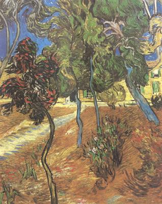 Vincent Van Gogh Trees in the Garden of Saint-Paul Hospital (nn04) china oil painting image